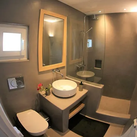 בית נופש Healthy House Mykonos אורנוס